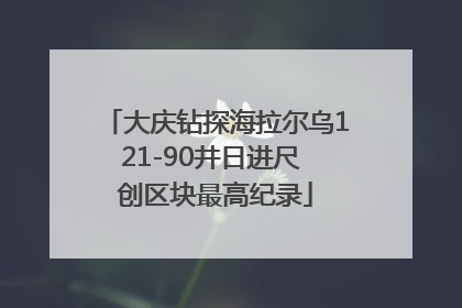 大庆钻探海拉尔乌121-90井日进尺 创区块最高纪录